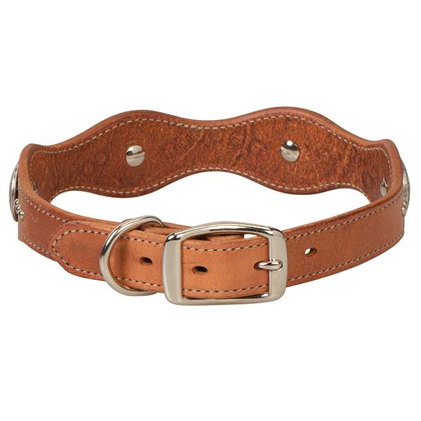 Texas Star Collar, 1"