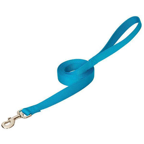 Prism Choice Leash, 3/4" x 4, Hurricane Blue