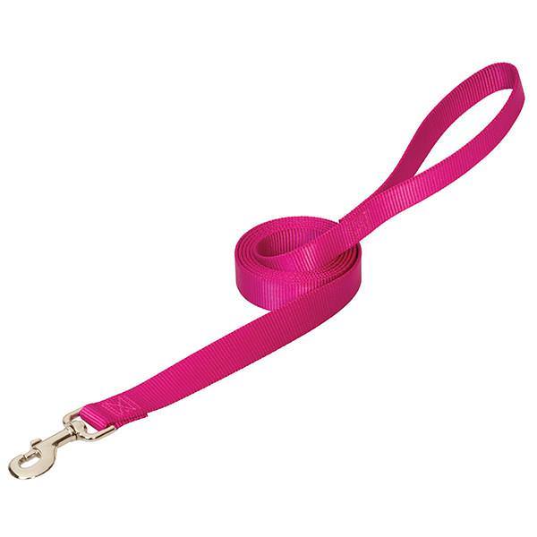 Prism Choice Leash, 3/4" x 4, Raspberry