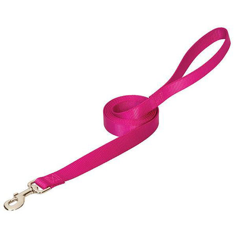 Prism Choice Leash, 3/4" x 4, Raspberry