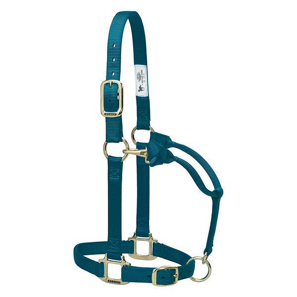 Original Adjustable Chin and Throat Snap Halter, 3/4", Suckling, Teal