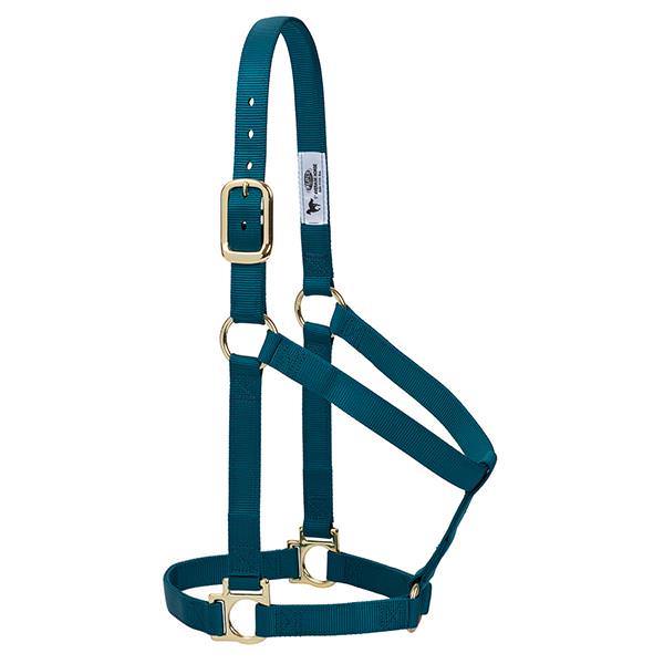 Basic Non-Adjustable Halter, SM, Teal Green