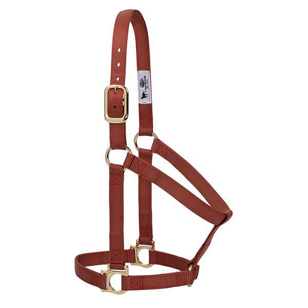 Basic Non-Adjustable Halter, SM, Cinnamon