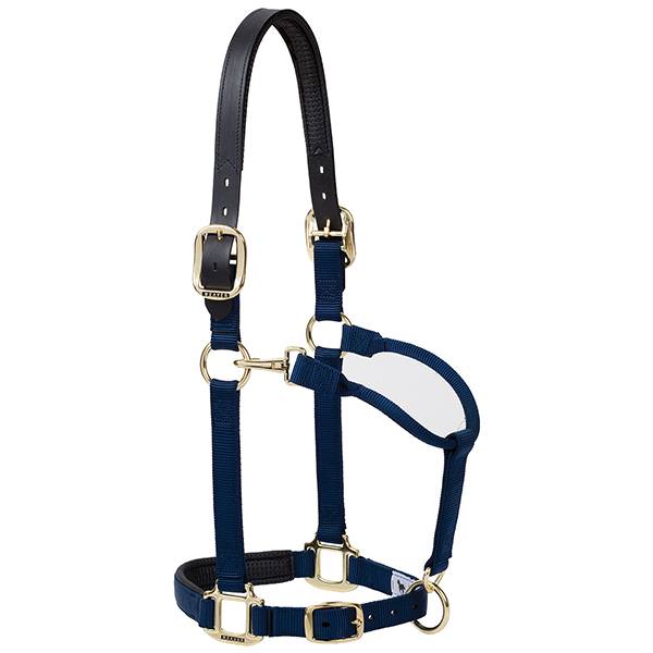 Padded Breakaway Halters