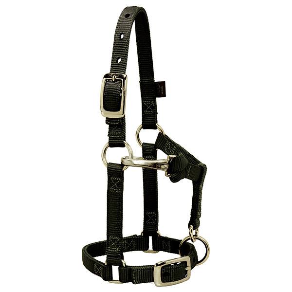 Miniature Horse Adjustable Chin and Throat Snap Halter, 5/8" Average