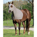 EquiSkinz Hood, Small, Leopard