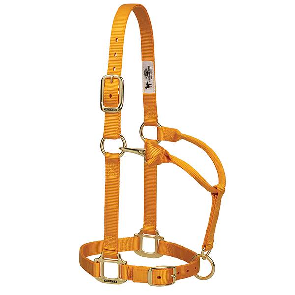 Original Adjustable Chin and Throat Snap Halter, 3/4", Suckling, Mustard