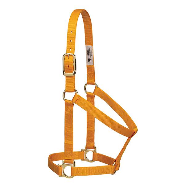 Basic Non-Adjustable Halter, 1", Small, Mustard