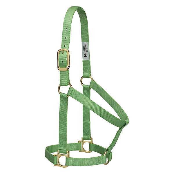 Basic Non-Adjustable Halter, 1", Small, Pistachio Green