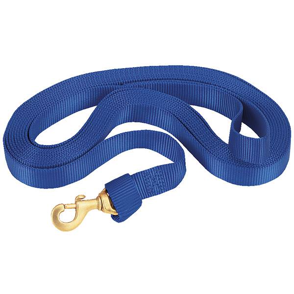 Flat Nylon Lunge Line, 1" x 30 with Snap
