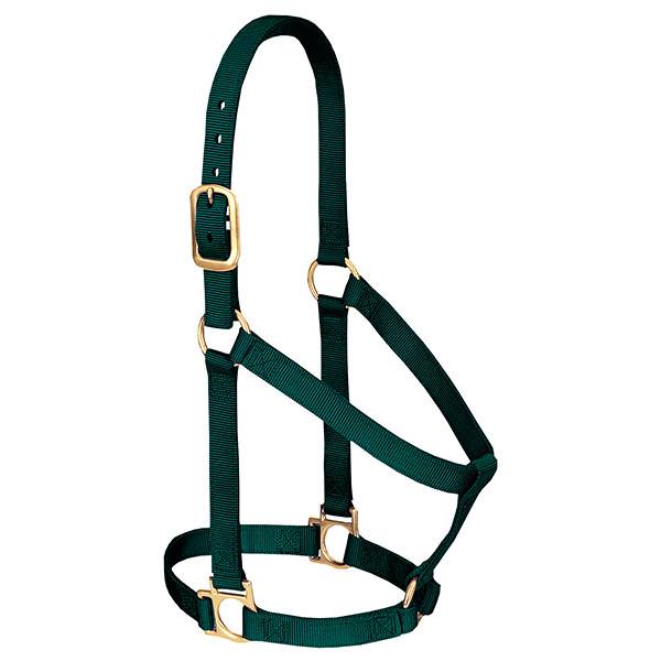 Basic Non-Adjustable Halter, 1" Small Horse or Weanling Draft