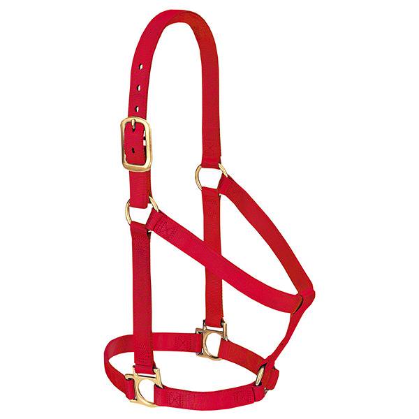 Basic Non-Adjustable Halter, 1" Small Horse or Weanling Draft