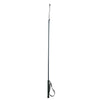 Riding Whip with PVC Handle, 30" Shaft