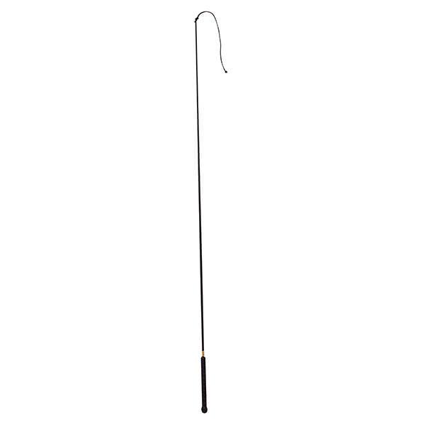 Track and Buggy Whip, 50"