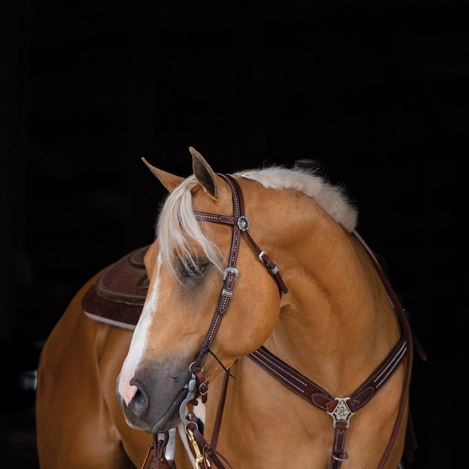 Austin Browband Headstall - Weaver Leather Equine – Weaver Equine