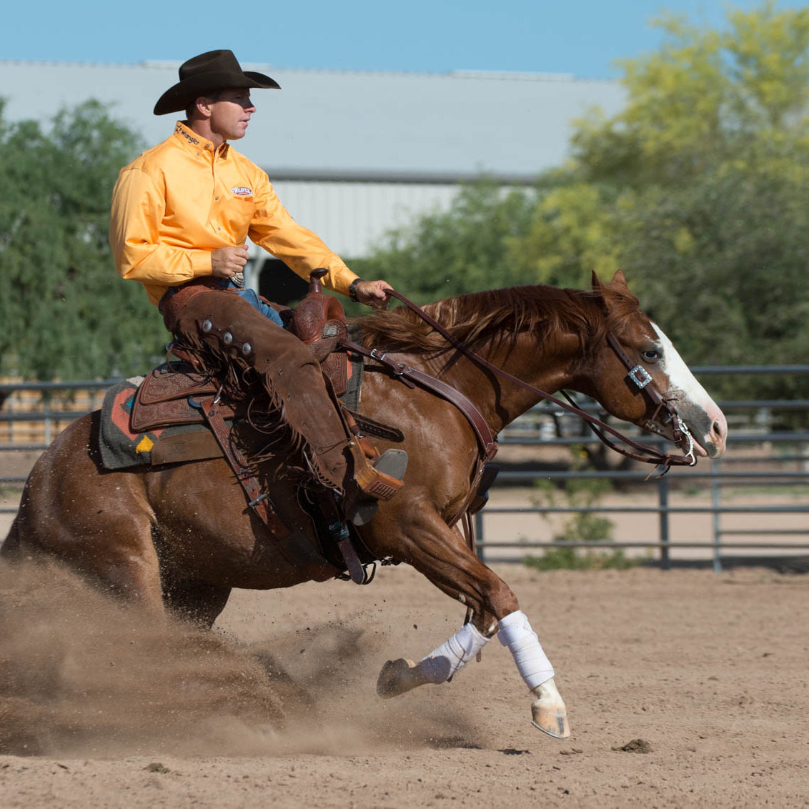 Working Tack Breast Collar