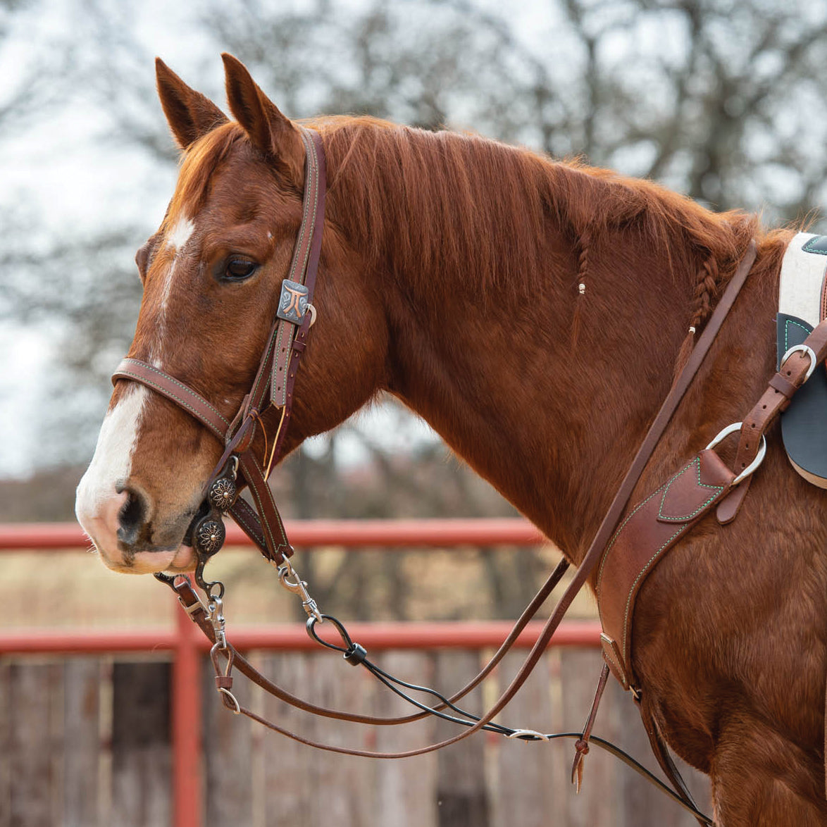 Synergy® Harness Leather Headstall with Designer Hardware
