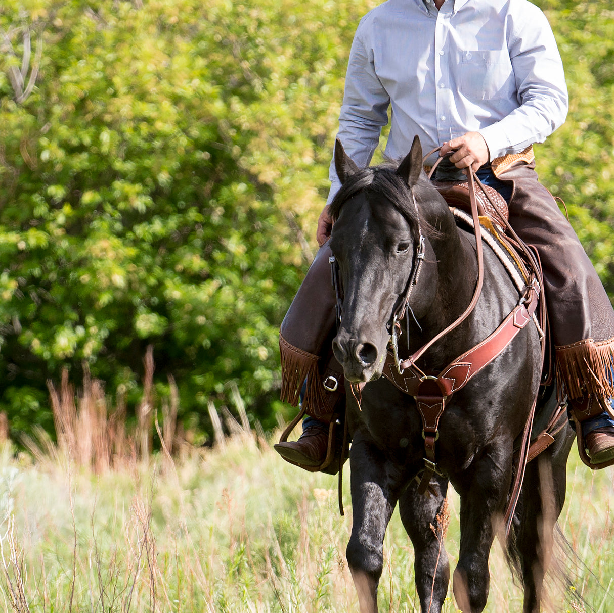 Working Tack Breast Collar