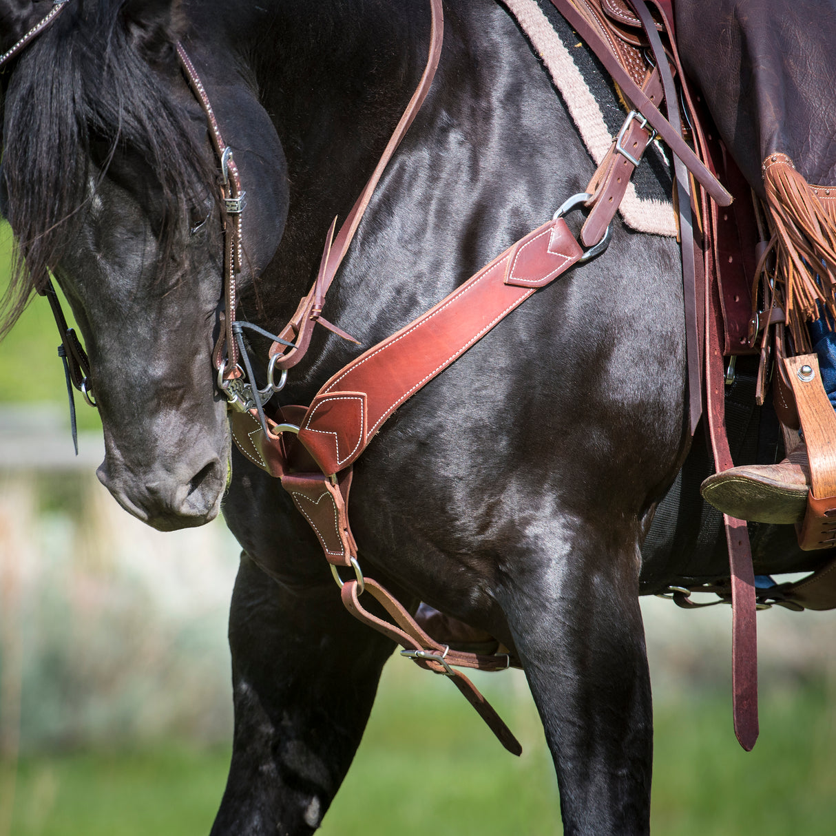 Working Tack Breast Collar