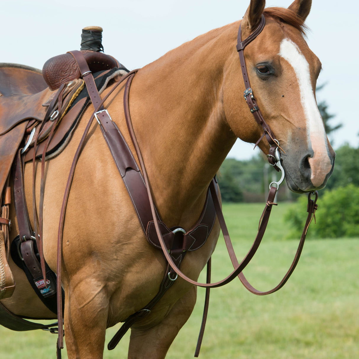 Working Tack Breast Collar