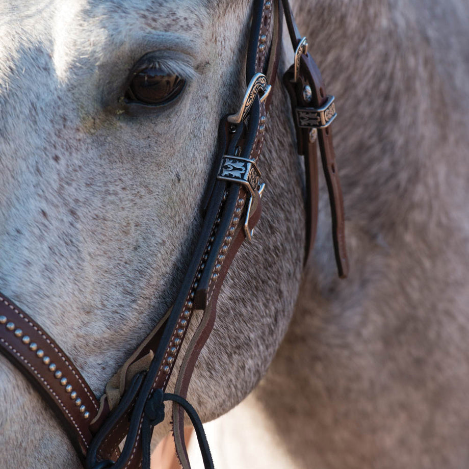 Weaver Equine - – Austin Weaver Headstall Browband Equine Leather