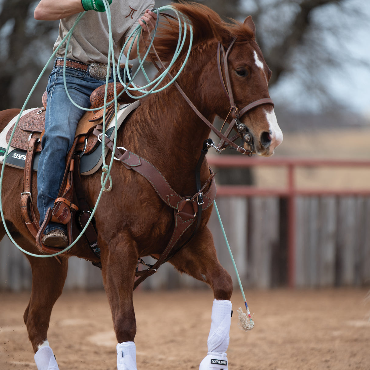 Synergy® Harness Leather Headstall with Designer Hardware