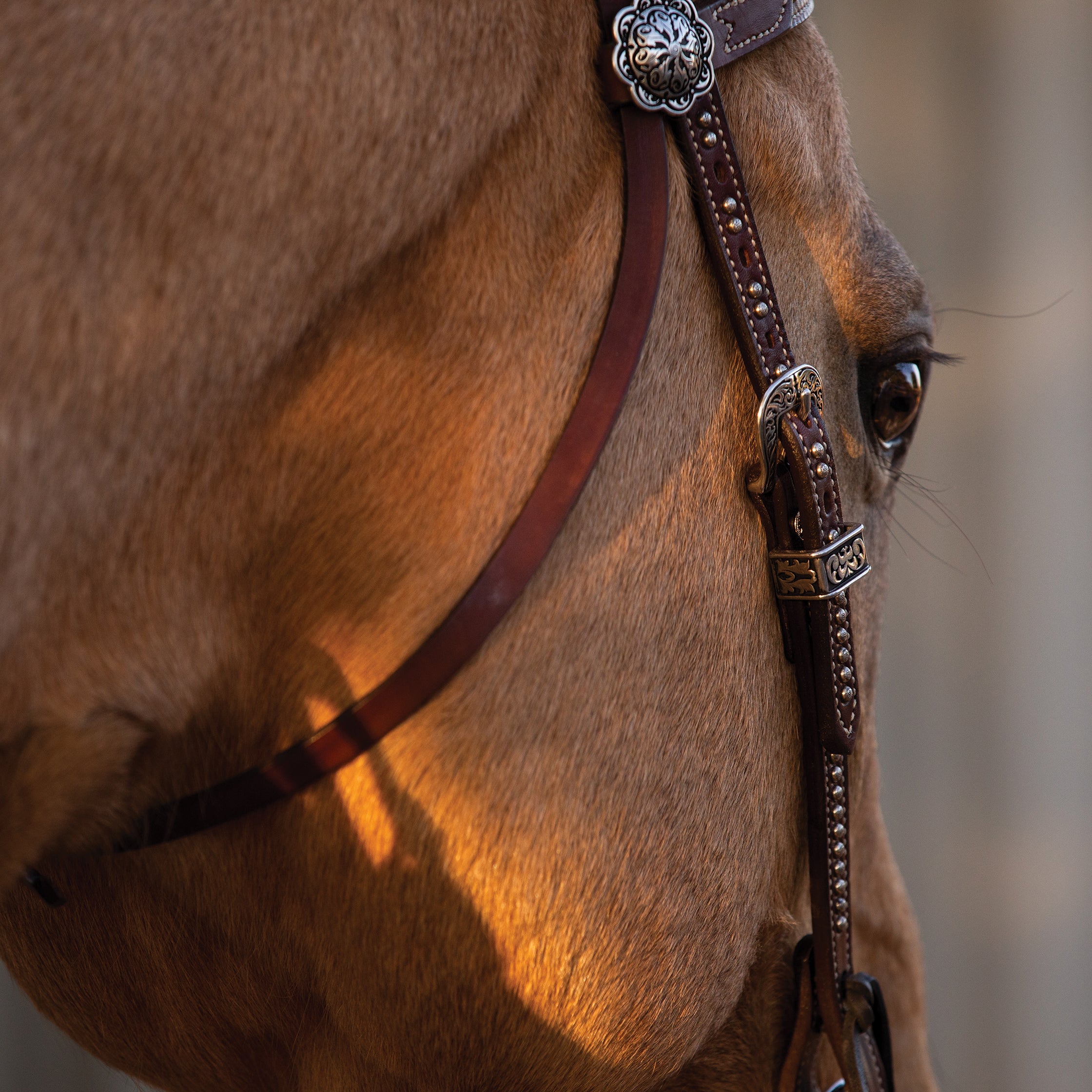 Weaver Flat Bridle Leather Curb Strap Brown